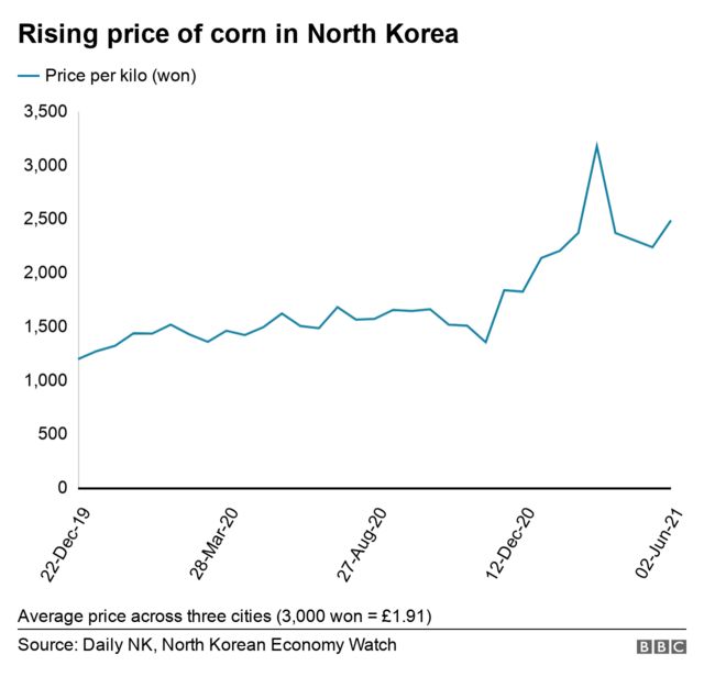 Chart shows the rising price of corn in North Korea