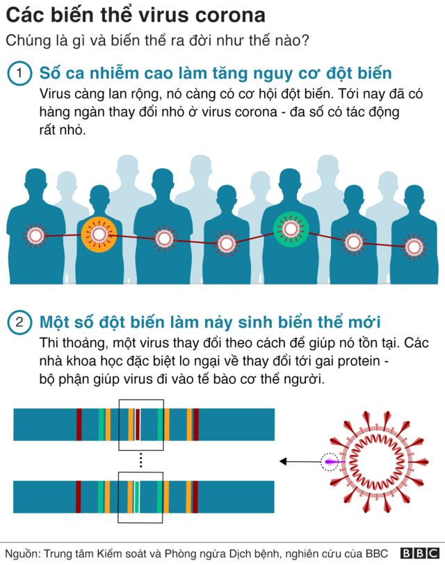 coronavirus variant